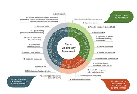 Biodiversity Strategy for 2030 - Environment - European Commission - wintechmobiles.com