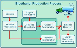 Bioethanol Production via Fermentation: Microbes, Modeling and ... - wintechmobiles.com