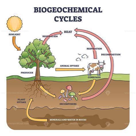 Biogeochemical Transformations - PNNL - raincitystudios.com