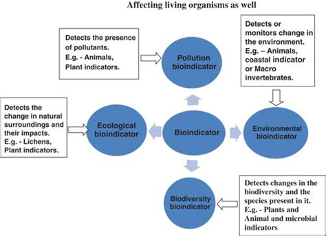 Bioindicators of Pollution: Examples & Their Importance - muktibox.com