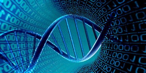 Bioinformatics | Biology | MDPI - wintechmobiles.com