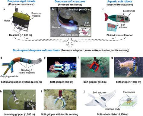 Bioinspired soft robots for deep-sea exploration - Nature - raincitystudios.com