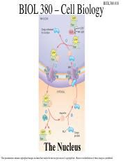 BIOL 380 - LECTURE TOPIC 6: Myoglobin & Hemoglobin Notes - muktibox.com