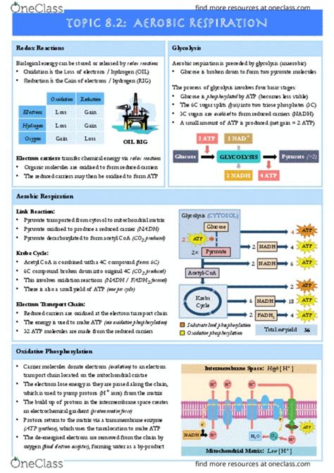 BIOL1000 & BIOL1001 : r/yorku - Reddit