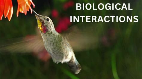 Biological Interactions - IGNTU - muktibox.com