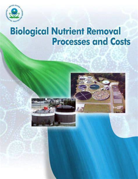 Biological Nutrient Removal Processes and Costs - raincitystudios.com