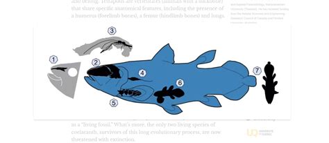 Biologists discover a new fossil species of prehistoric fish - muktibox.com