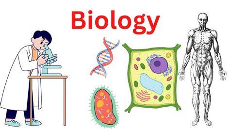 Biology | Section Marine and Freshwater Biology - MDPI - raincitystudios.com
