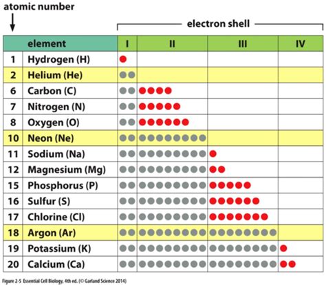 BIOLOGY CHAPTER 2 Flashcards Quizlet