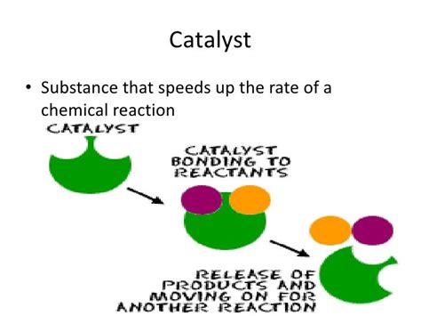 Biology Knowledge Organiser A biological catalyst that speeds up ... - wintechmobiles.com