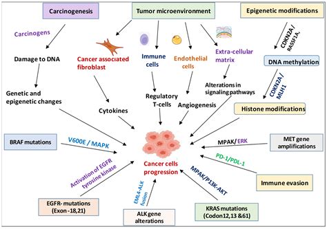 Biology of cancer: current insights and perspectives - muktibox.com