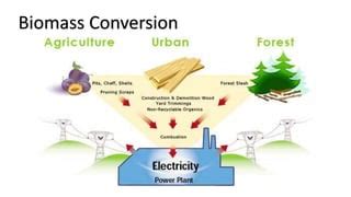 Biomass Conversion Processes for Energy and Fuels - wintechmobiles.com