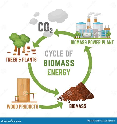 Biomass explained - Biomass and the environment - U.S. Energy ... - wintechmobiles.com