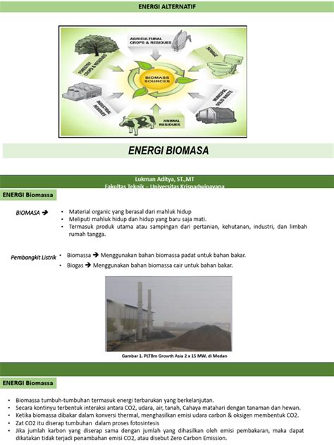 Biomassa Sebagai Alternatif Energi Terbarukan - raincitystudios.com