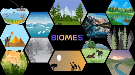 Biomes - KS3 Humanities Geography - BBC Bitesize - muktibox.com