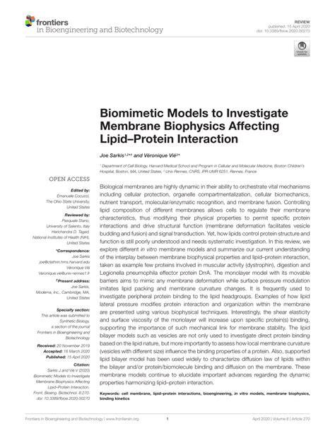 Biomimetic Models to Investigate Membrane Biophysics Affecting Lipid ... - raincitystudios.com