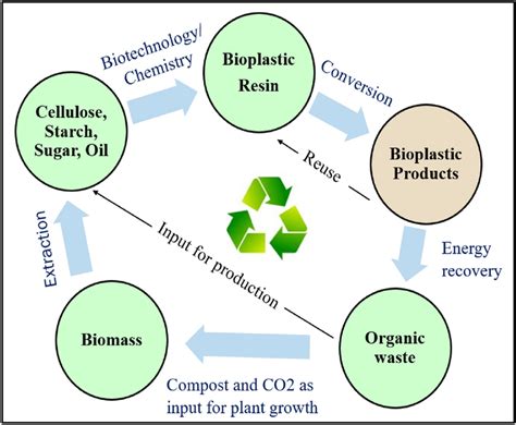 Bioplastics for a circular economy - Nature Reviews Materials - wintechmobiles.com