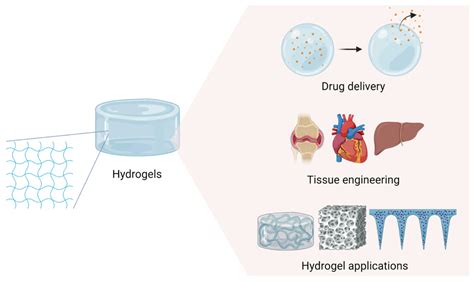 Biopolymer Hydrogels for Drug Delivery & Tissue Engineering - wintechmobiles.com