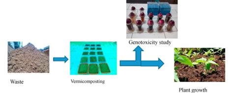 Bioremediation and detoxification of industrial wastes by earthworms ... - muktibox.com