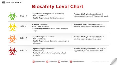 Biosafety Levels 1, 2, 3 & 4: What’s the Difference? - wintechmobiles.com