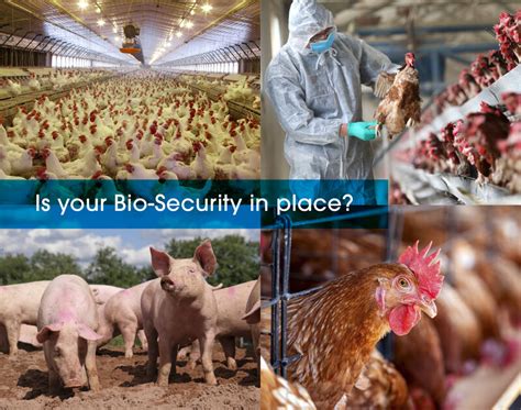 Biosecurity Biosecurity and and food food security: security: spatial ... - wintechmobiles.com