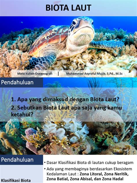 Biota laut - Wikipedia bahasa Indonesia, ensiklopedia bebas - coolestguyplanet.net