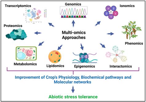 Biotechnology and Genomic Approaches to Mitigating Disease - raincitystudios.com