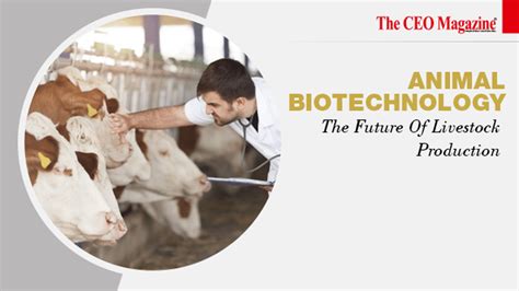 Biotechnology for the Livestock Industry - muktibox.com