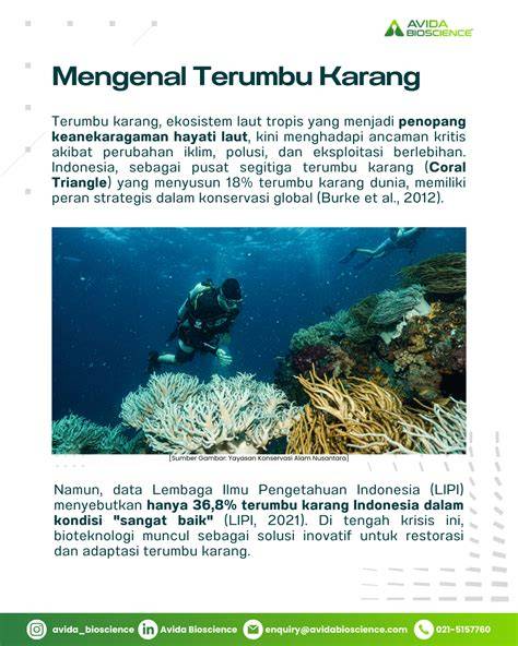 Bioteknologi dalam Restorasi Terumbu Karang - raincitystudios.com