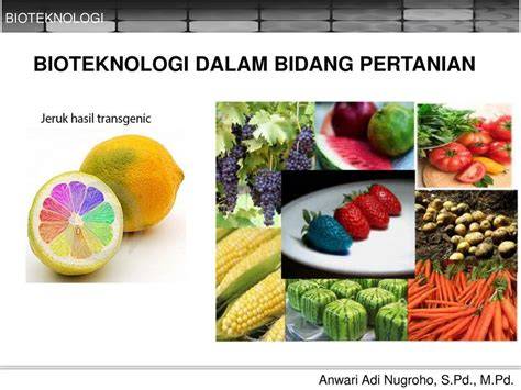 Bioteknologi pertanian modern dikembangkan melalui... - Roboguru - raincitystudios.com