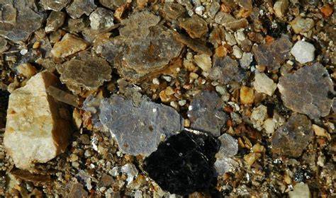 Biotite Mica: Powerful Soil & Nutrient Benefits For 2026 - raincitystudios.com