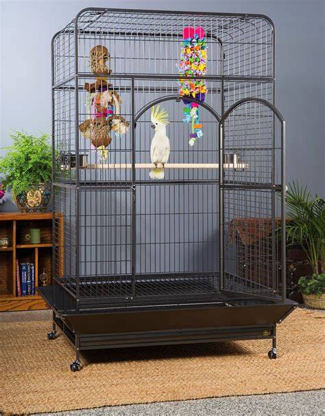 Bird Cages & Accessories | Pets | BIG W - raincitystudios.com