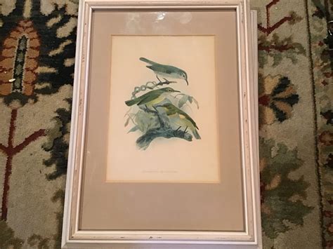 Bird Lithographs - Etsy - muktibox.com