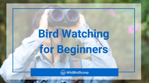 Bird Watching For Beginners: What To Expect & What … - muktibox.com
