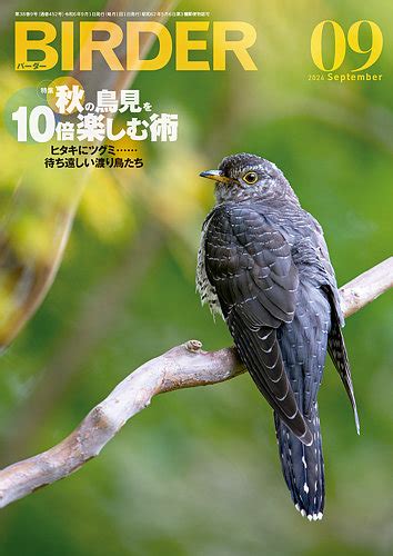 BIRDER（バーダー）のバックナンバー 雑誌/電子書籍/定期購 …