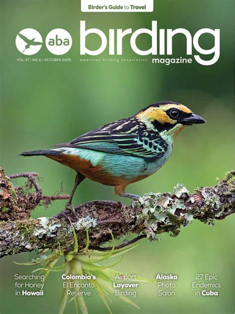 Birding | Indonesia: Sulawesi - raincitystudios.com