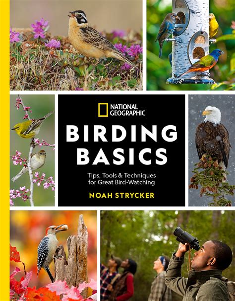 Birding Basics | Virginia DWR - muktibox.com