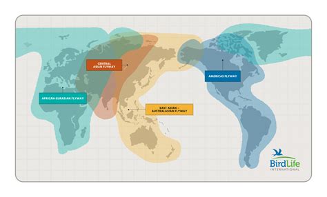 BirdLife International - BirdLife is the world leader in … - wintechmobiles.com