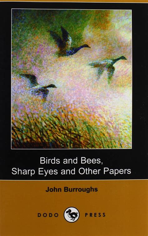 BIRDS AND BEES SHARP EYES AND OTHER PAPERS