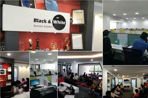 BLACK AND WHITE TRADING LTD - glassdoor.co.uk