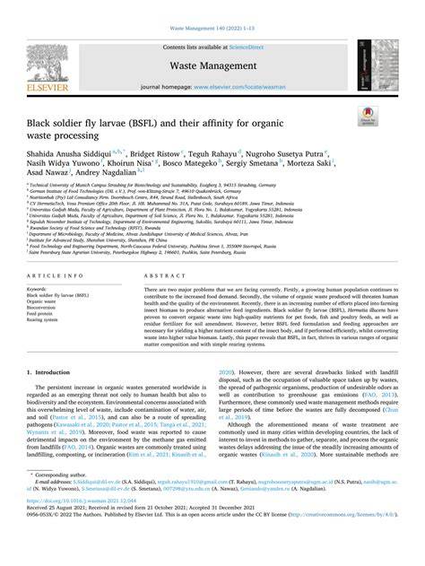 Black soldier fly larvae (BSFL) and their affinity for organic waste ... - raincitystudios.com