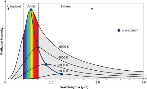 Blackbody Radiation Graphs - Beloit College - wintechmobiles.com
