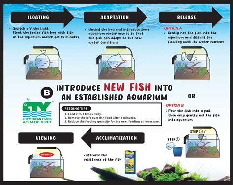 Blog | Fishkeeping Hobby 1 - muktibox.com