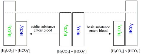 Blood as a Buffer - Chemistry LibreTexts - wintechmobiles.com