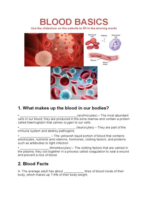 Blood Basics - muktibox.com