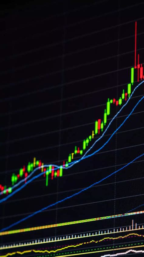 BLS Infotech Management Information - The Economic Times