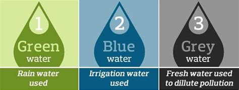 Blue, green, and grey water footprints assessment for paddy irrigation ... - wintechmobiles.com