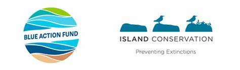 Blue Action Fund | Safeguarding Marine Biodiversity - raincitystudios.com