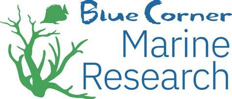 Blue Corner Marine Research - raincitystudios.com