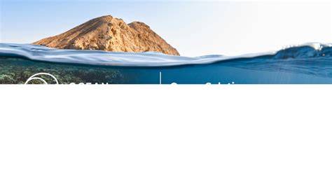 Blue Education | Blue Marine Foundation - raincitystudios.com